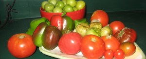 tomatillos-and-friends_1_1