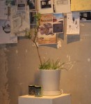 display-with-plants-and-jars_1_1 display-with-plants-and-jars_1_1