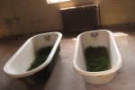 grass tubs_1_1 grass tubs_1_1