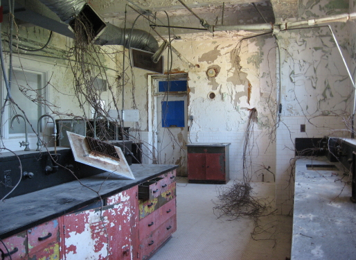 lab rear_1_1 rear of lab