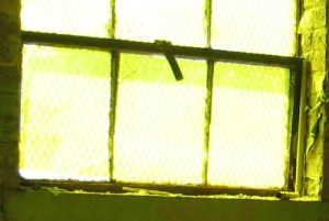 Yellow room window_1_1 Yellow room window_1_1