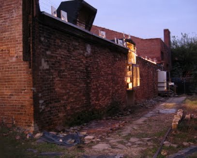 [Matt's+bird+wall+in+evening_1_1.jpg]